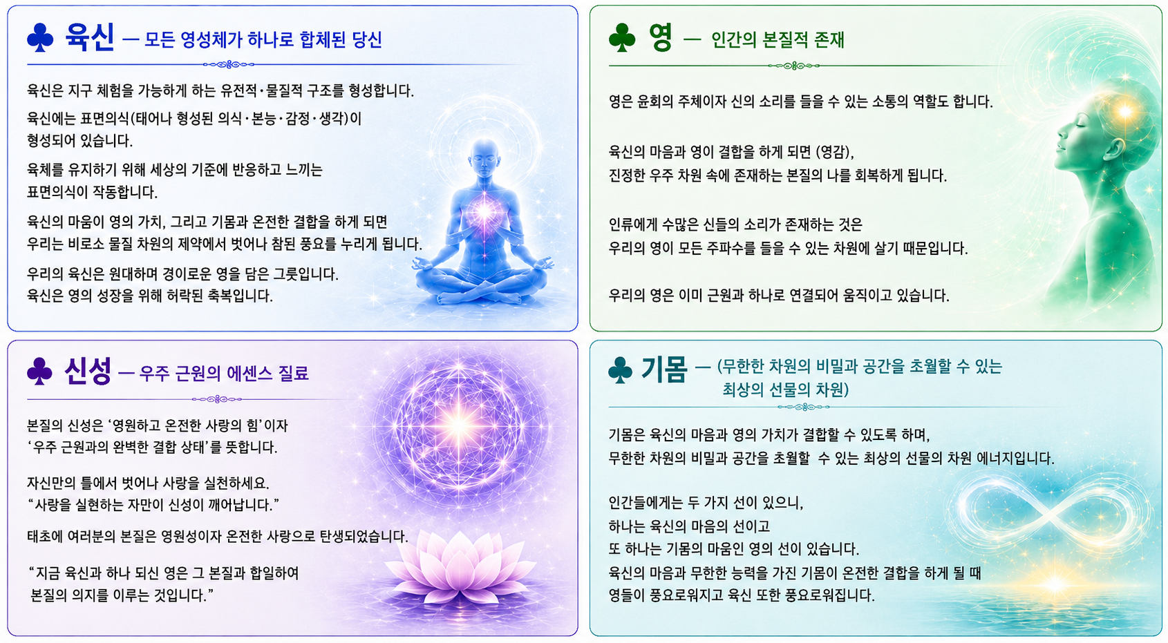 페이지 이미지
